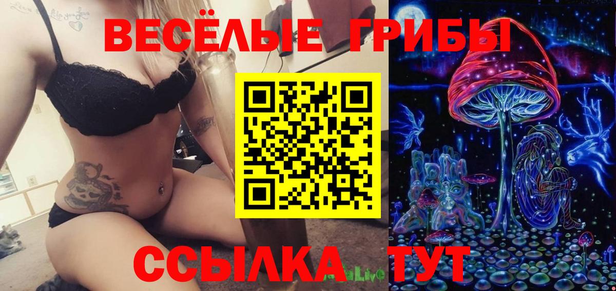 Псилоцибиновые грибы прущие грибы  Вход с VPN  Котельники  Галлюциногенные грибы прущие грибы 