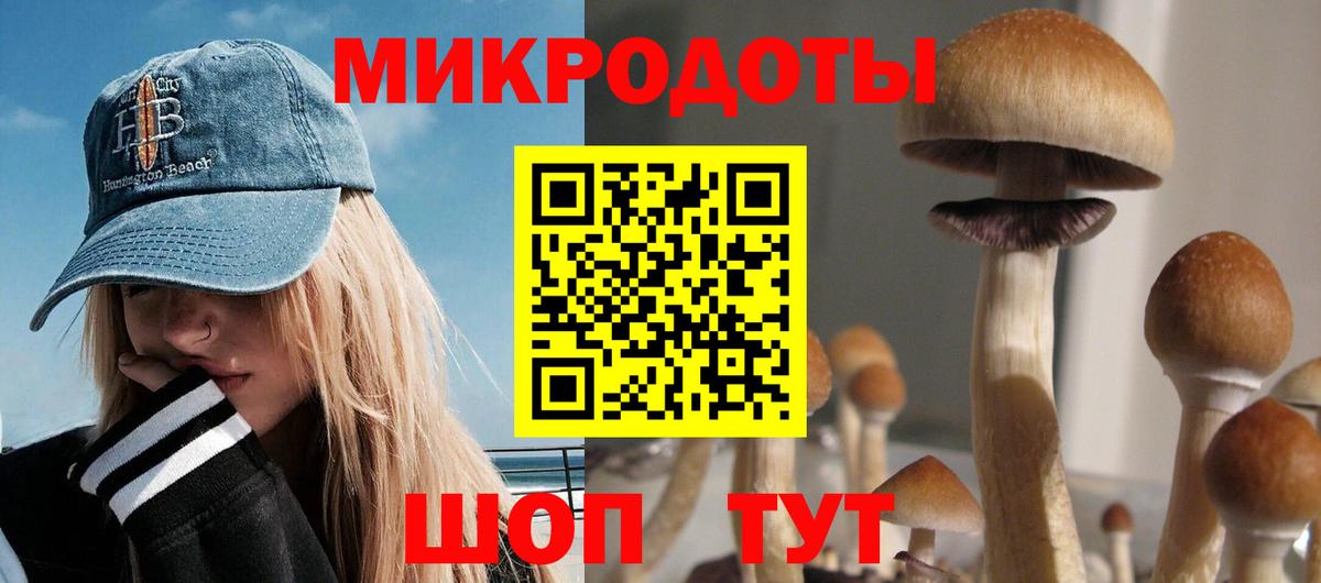 Галлюциногенные грибы MAGIC MUSHROOMS Котельники